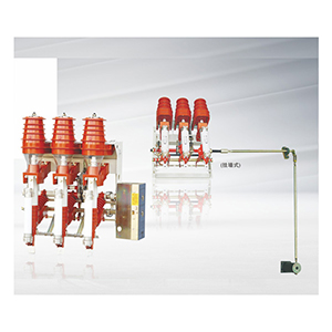 FKN12A-12/FKRN12A—12系列壓氣負(fù)荷開關(guān)—熔斷器組合電器