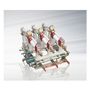 ZFN21 -12D/T630-20、ZFN21-12DR/T125-31.5型高壓真空負(fù)荷開關(guān)及組合電器