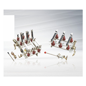 FN5-12R(L)型戶內(nèi)交流高壓負(fù)荷開關(guān)