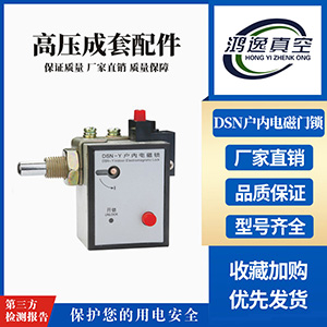 DSN戶內(nèi)電磁門鎖