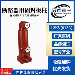 12kV斷路器用固封極柱（812A）
