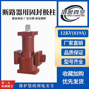 12kV斷路器用固封極柱（819A）
